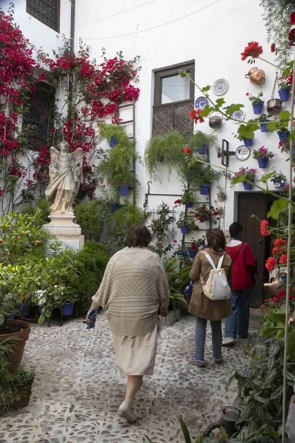 Los patios de San Lorenzo y San Agustín de Córdoba, en imágenes