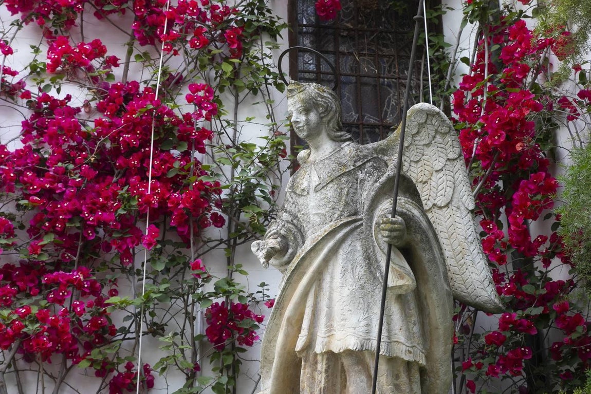 Los patios de San Lorenzo y San Agustín de Córdoba, en imágenes