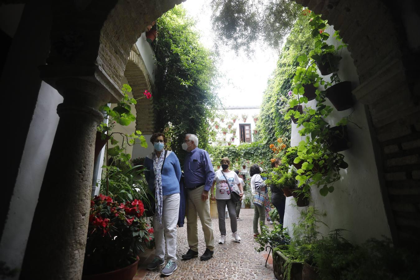 Los patios de la Judería de Córdoba, en imágenes