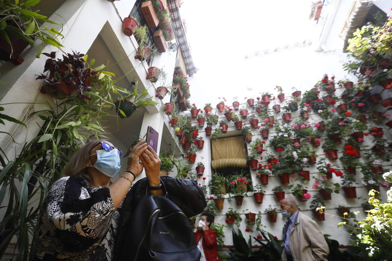 Los patios de la Judería de Córdoba, en imágenes