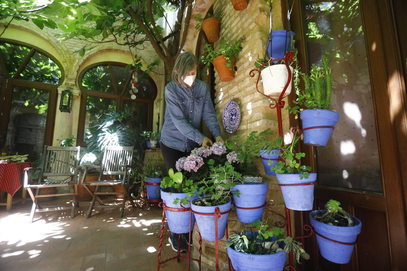 Los patios de la Judería de Córdoba, en imágenes