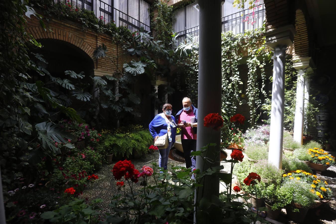 Los patios de la Judería de Córdoba, en imágenes