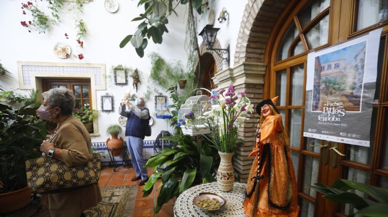 Los patios de la Judería de Córdoba, en imágenes