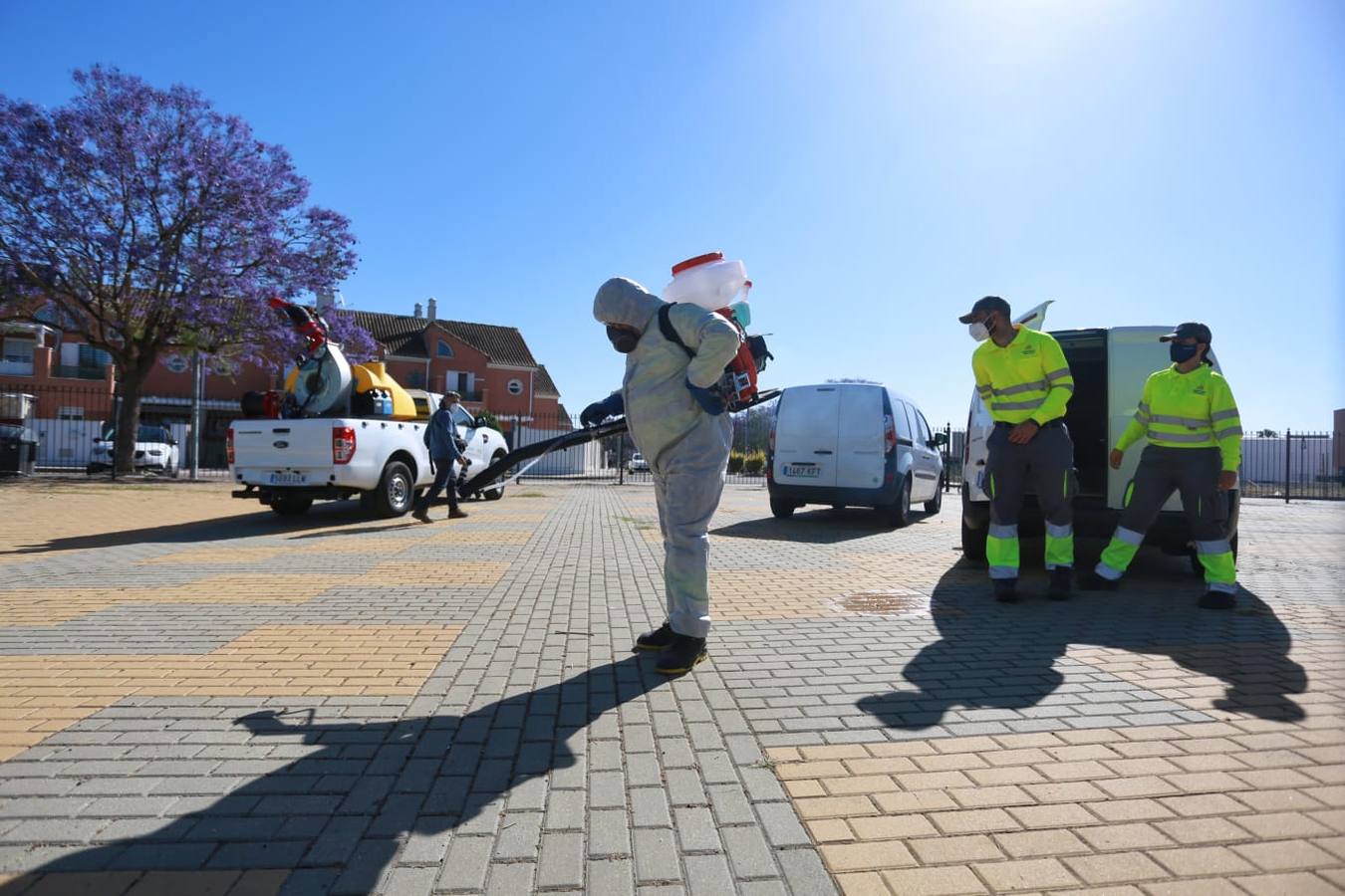 Labores de fumigación en Coria del Río