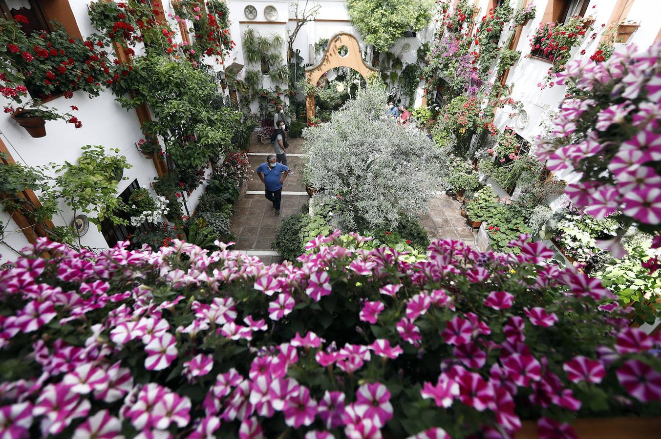 Patios de Córdoba 2021 | La ruta de San Agustín y Santa Marina, en imágenes