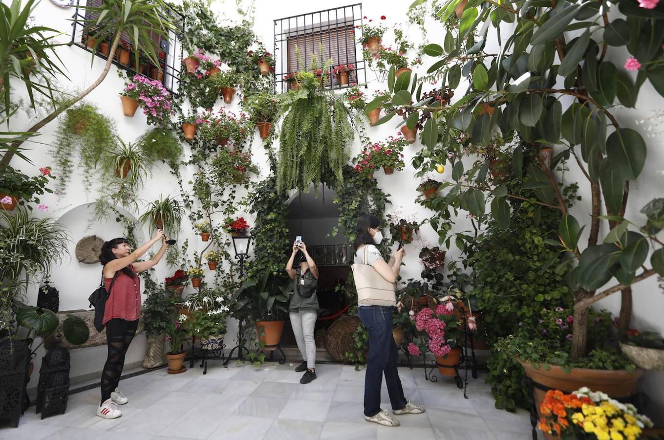 Patios de Córdoba 2021 | El Alcázar Viejo, en imágenes