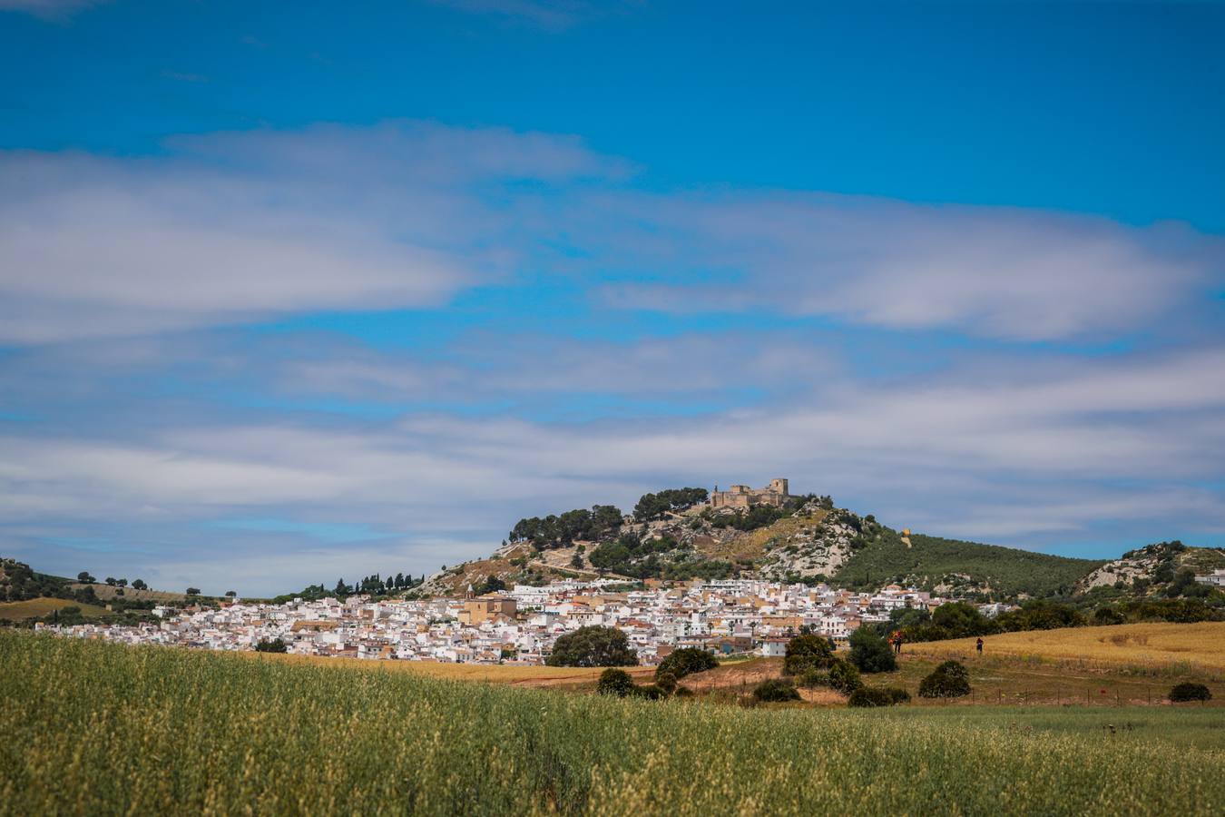 FOTOS: Las imágenes más espectaculares del Rally Andalucía 2021 en Cádiz