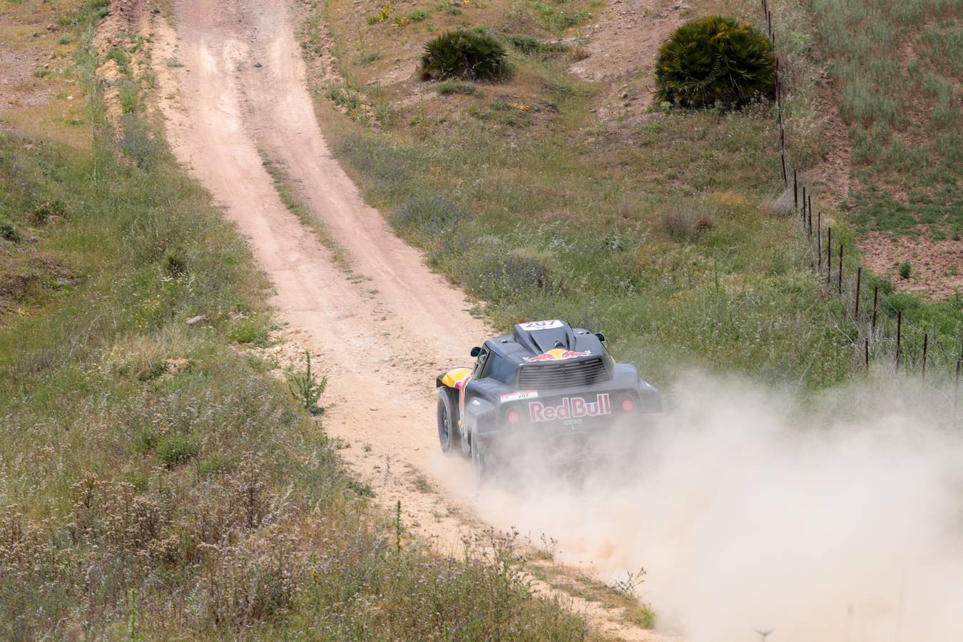 FOTOS: Las imágenes más espectaculares del Rally Andalucía 2021 en Cádiz