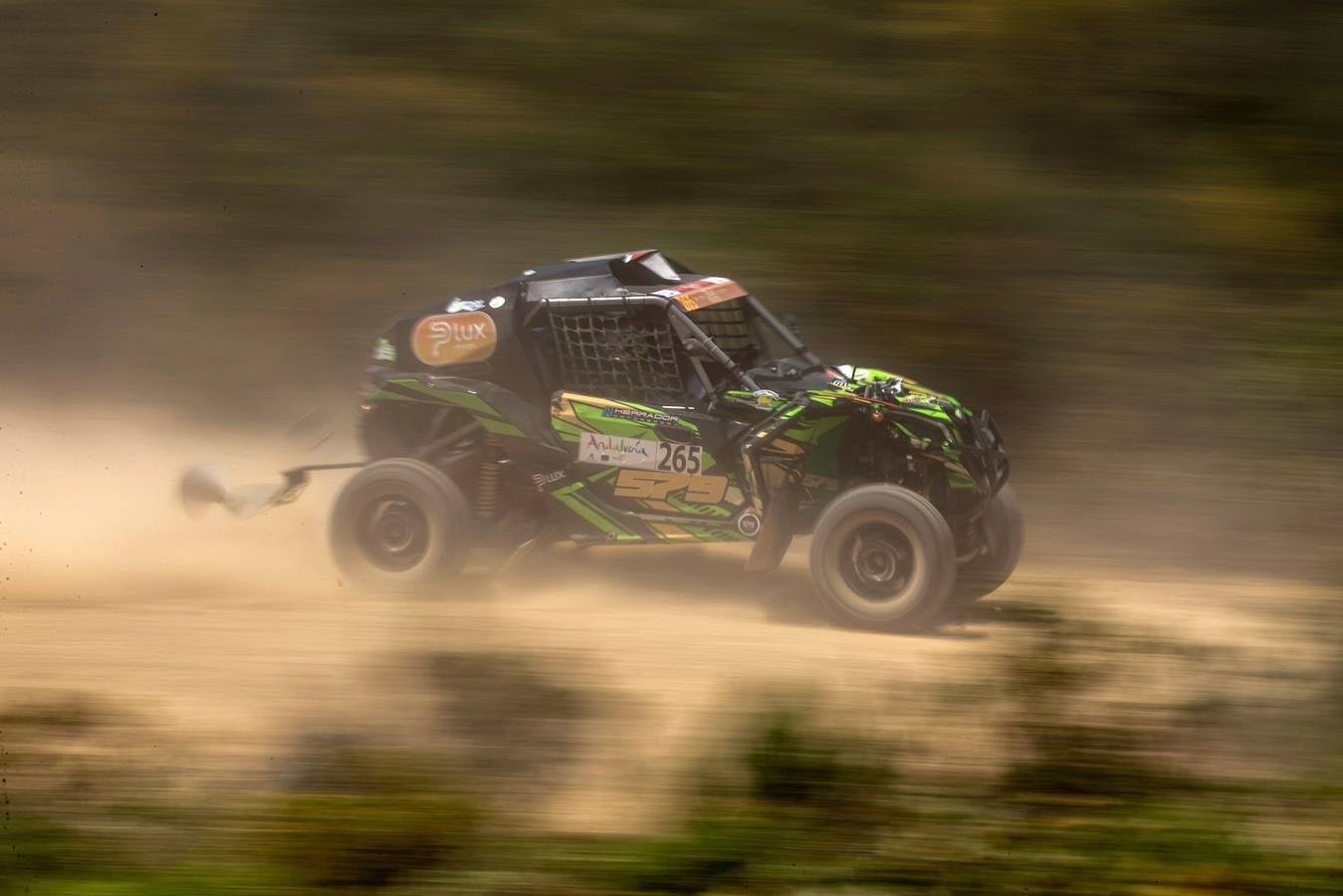 El paso de Carlos Sainz por Palma del Río y Santaella con el Andalucía Rally, en imágenes