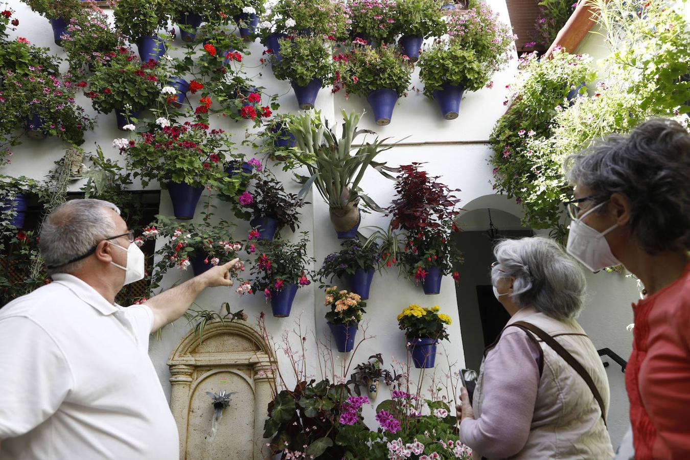 Patios de Córdoba 2021 | La ruta de San Lorenzo, en imágenes