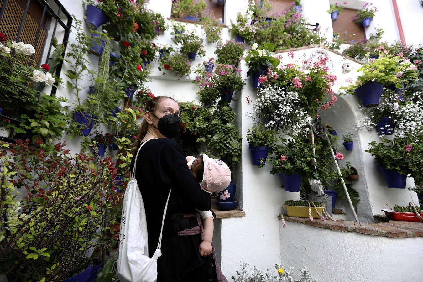 Patios de Córdoba 2021 | La ruta de San Lorenzo, en imágenes