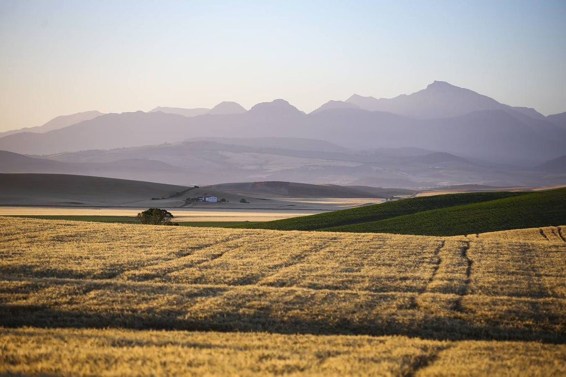 FOTOS: La etapa del Rally Andalucía 2021, en Cádiz