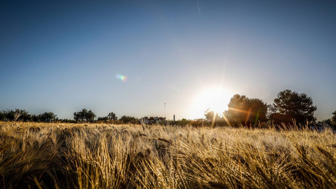 FOTOS: La etapa del Rally Andalucía 2021, en Cádiz