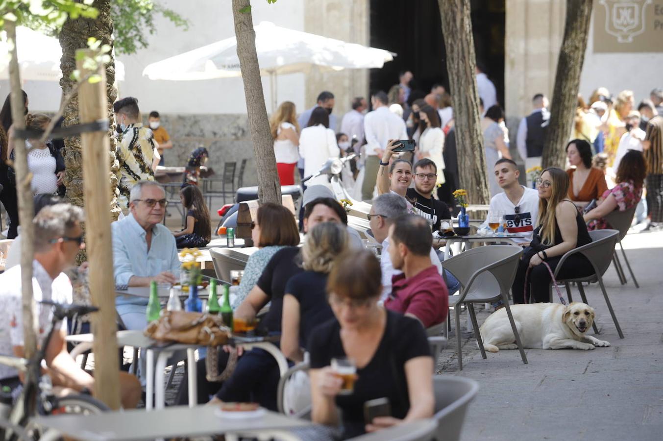 El ambiente turístico en Córdoba este sábado, en imágenes