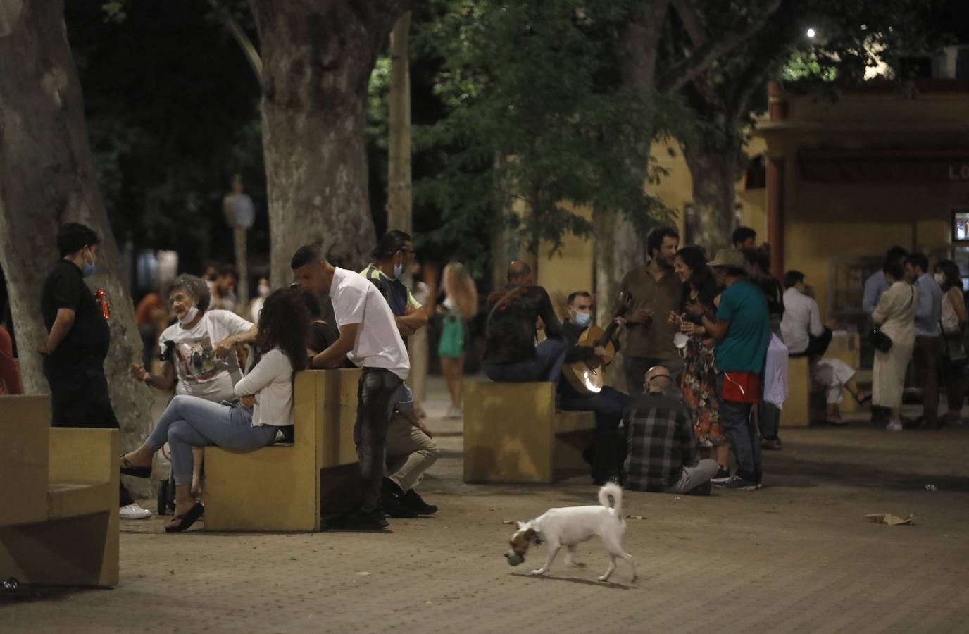 Dispositivo policial en la Alameda