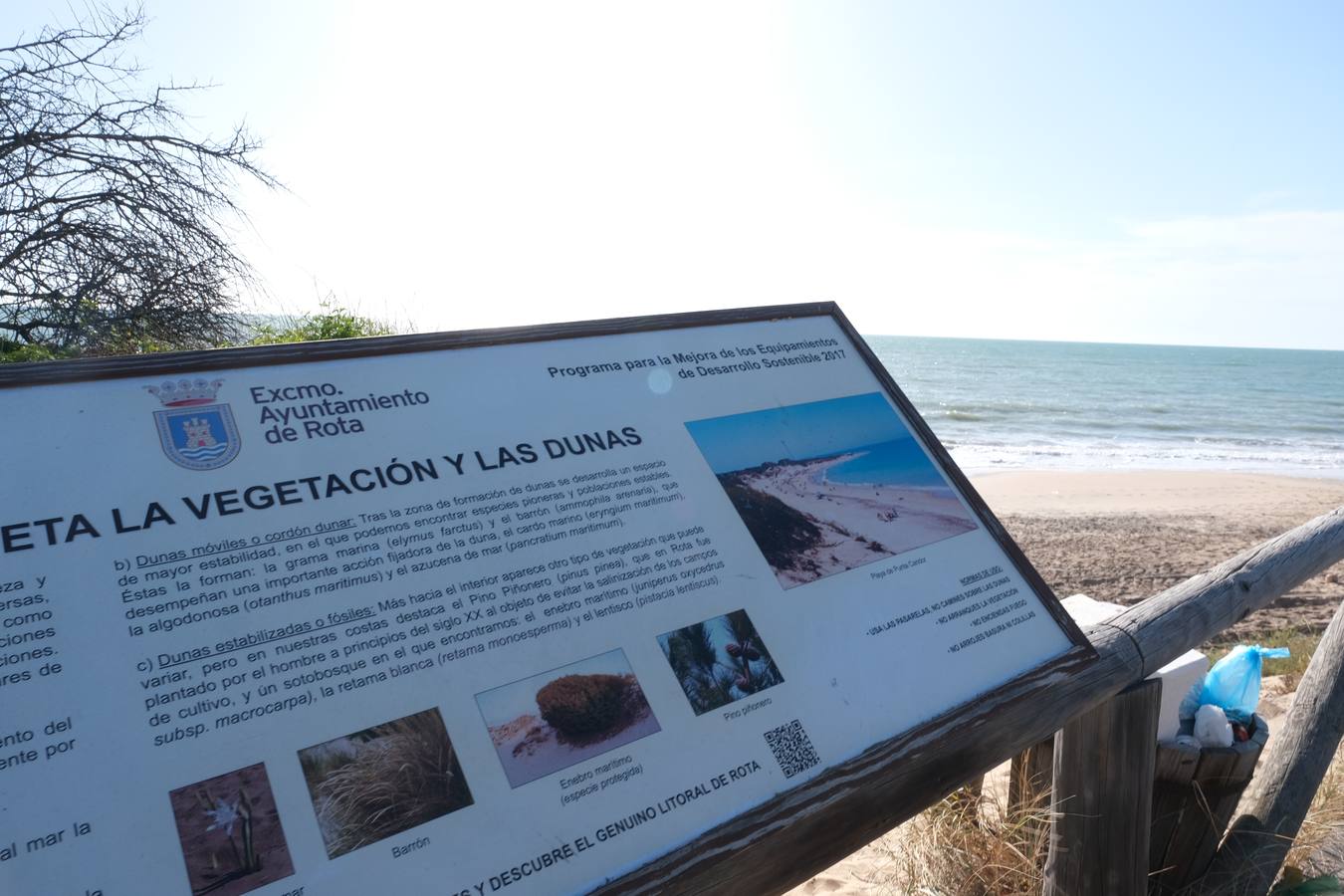 FOTOS: Recorrido fotográfico por las playas de la costa de Cádiz