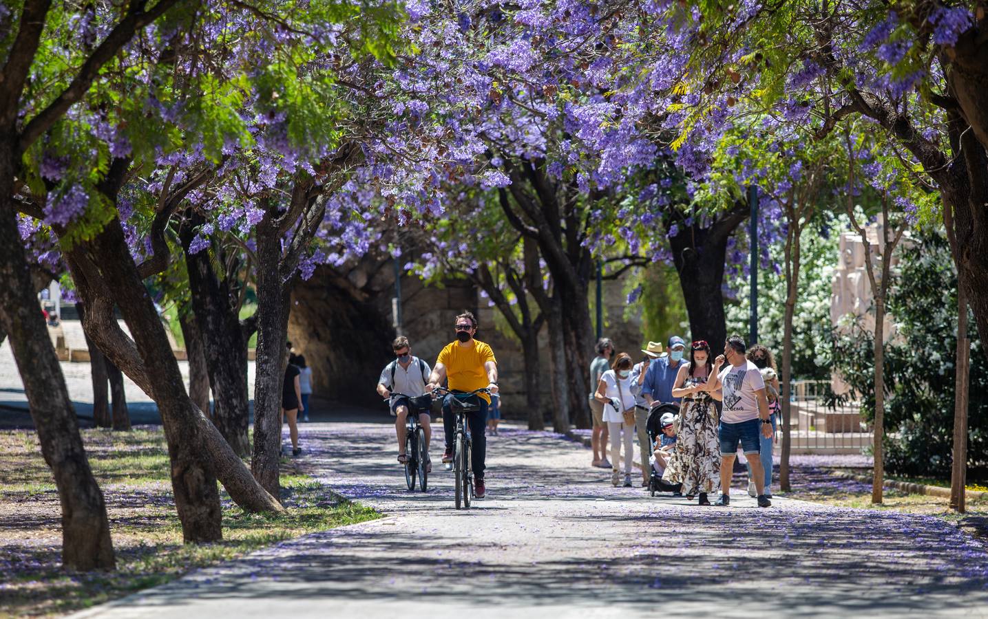 Ambiente veraniego en Sevilla