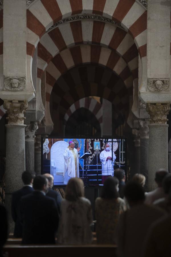 La cita de las hermandades de Gloria en la Catedral de Córdoba, en imágenes