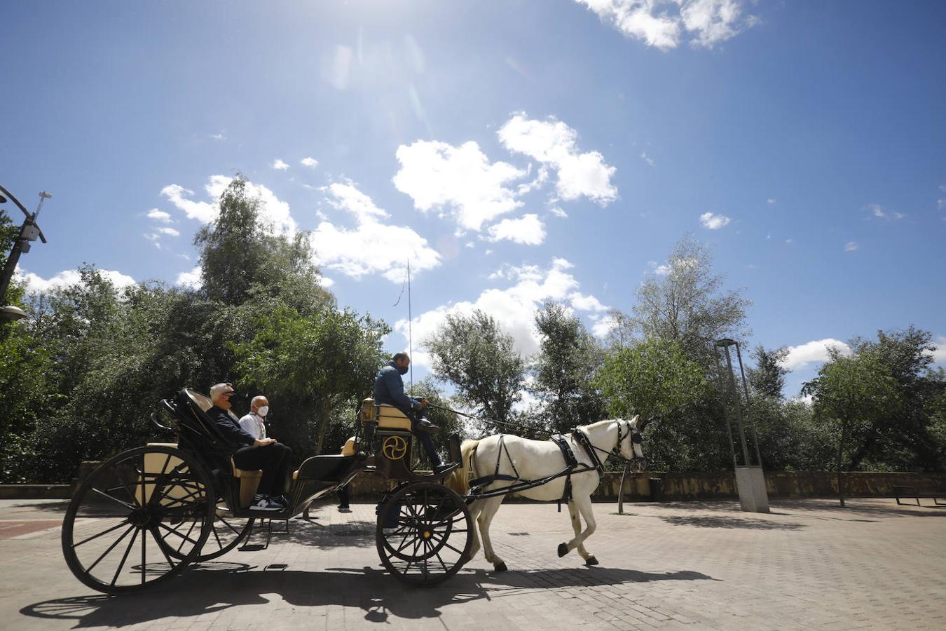 El ambiente hostelero de la Ribera de Córdoba, en imágenes