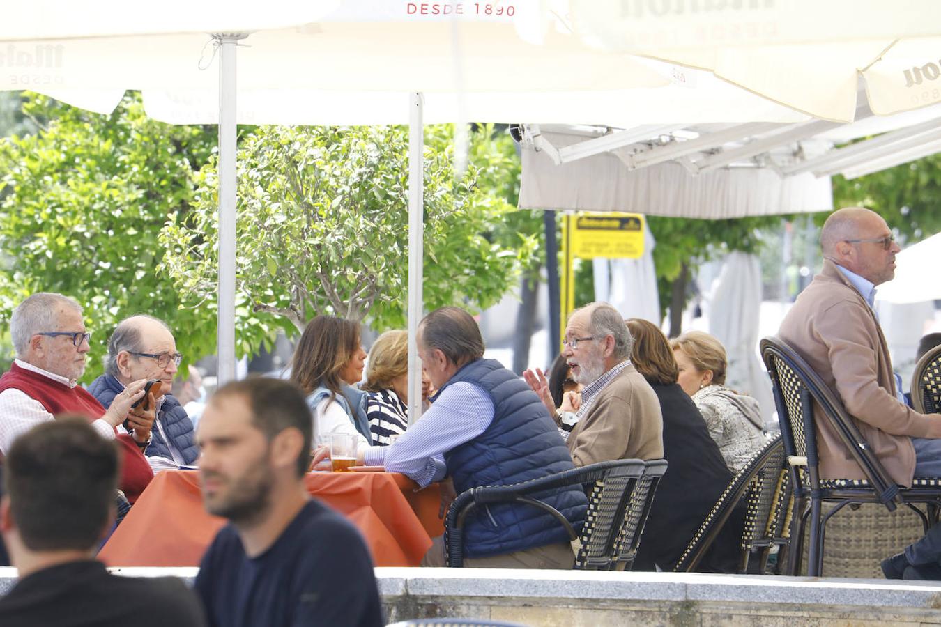 El ambiente hostelero de la Ribera de Córdoba, en imágenes