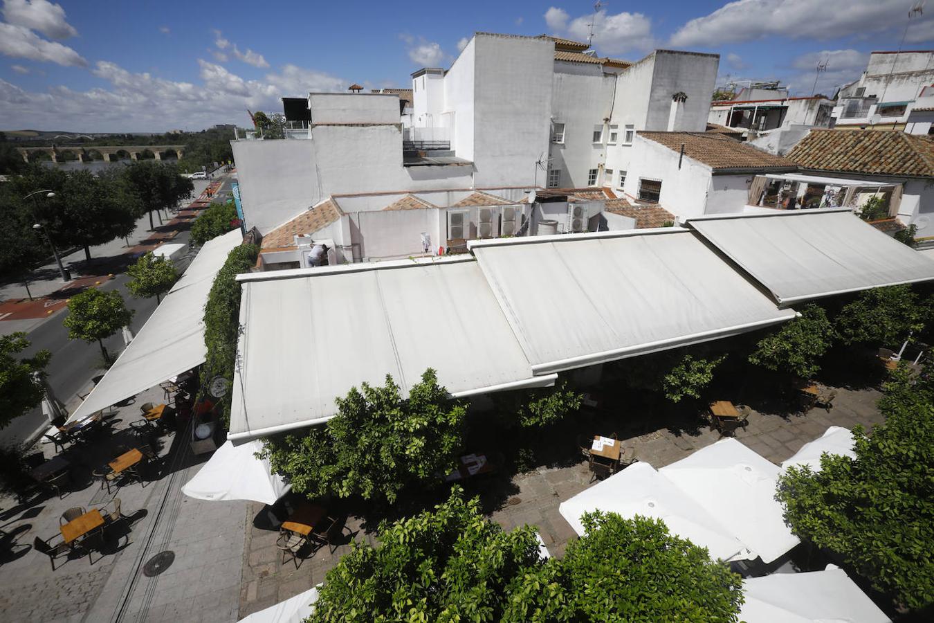 El ambiente hostelero de la Ribera de Córdoba, en imágenes