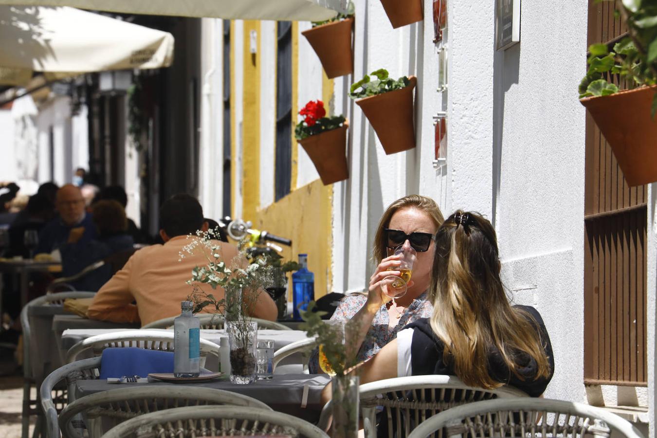 El ambiente hostelero de la Ribera de Córdoba, en imágenes