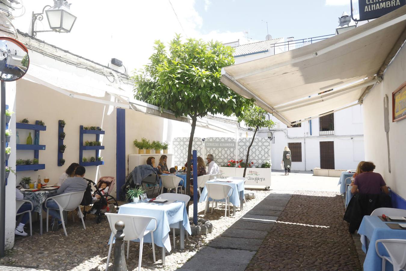 El ambiente hostelero de la Ribera de Córdoba, en imágenes