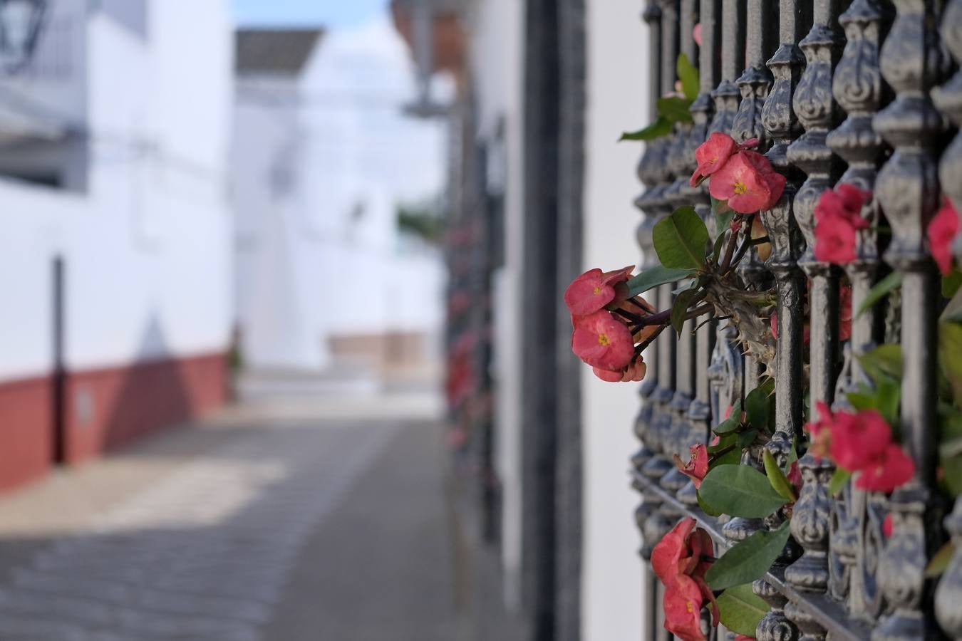 Poblados andaluces de colonización: centinelas del patrimonio rural olvidado