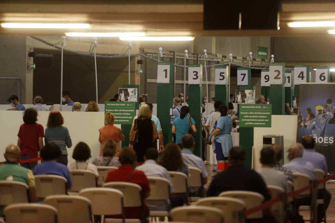 El estadio de la Cartuja cumple un mes como centro de vacunación masiva