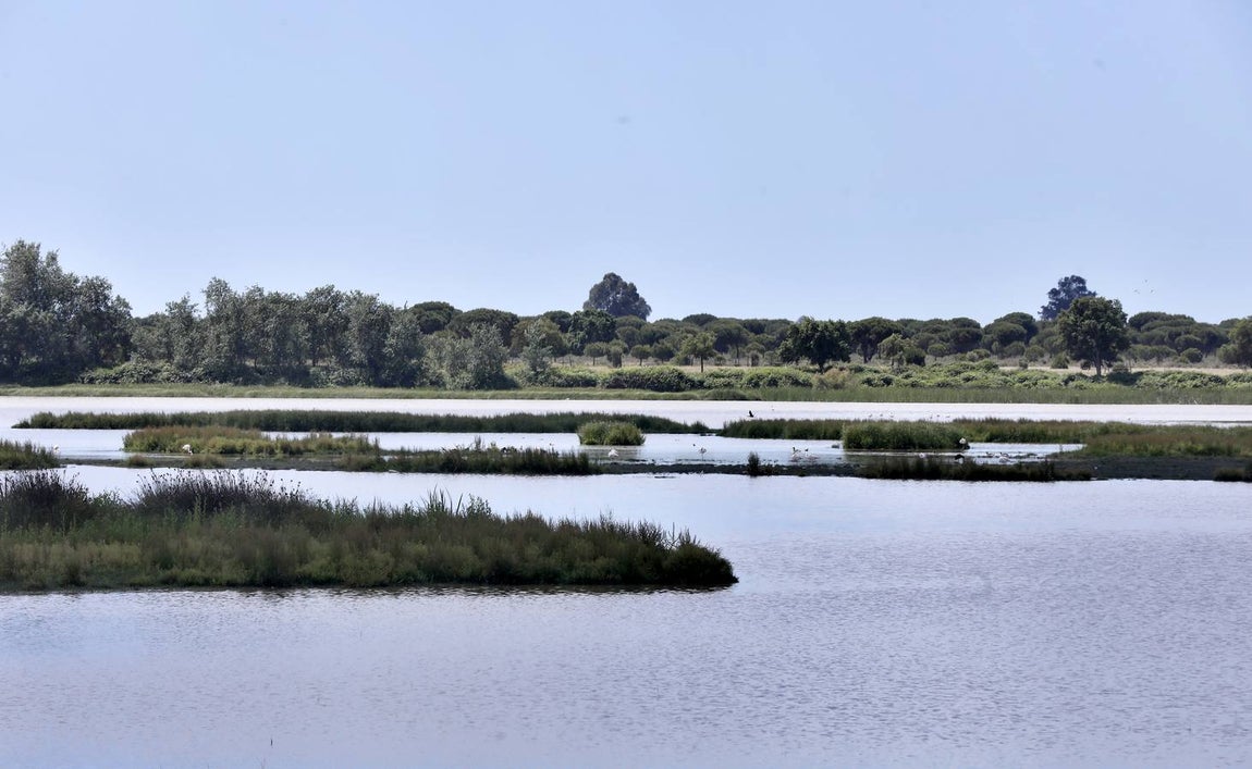 El Rocío resiste al límite otro año sin romería