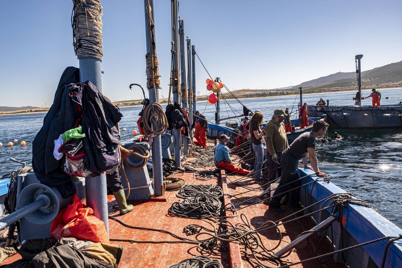 Artesanos del atún rojo salvaje en Cádiz