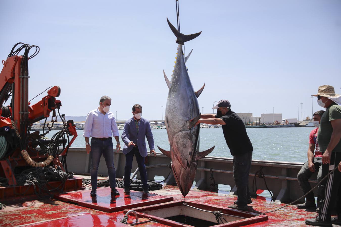 Fotos: Elías Bendodo, en un ronqueo de atún en Barbate