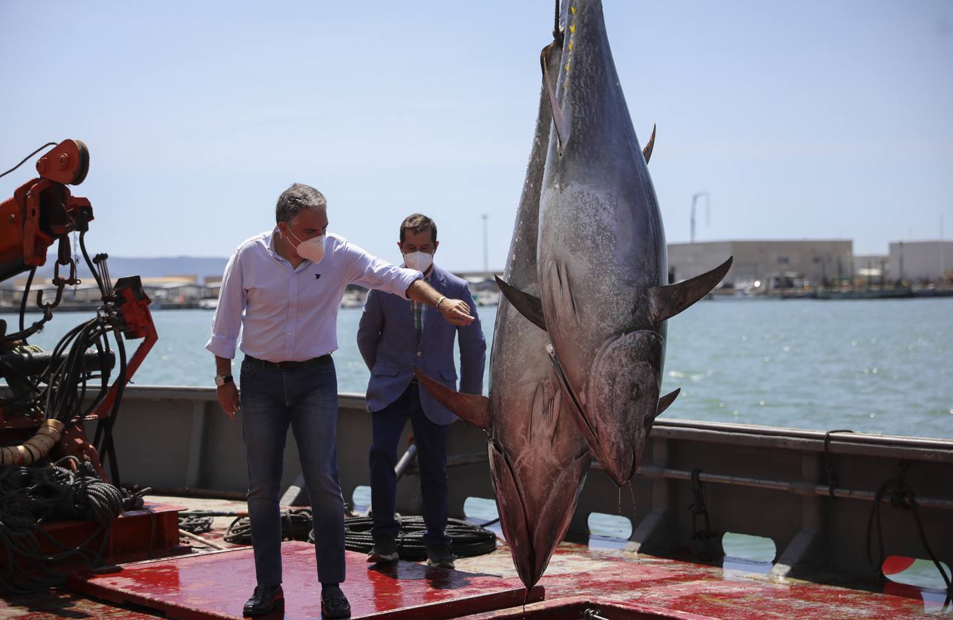 Fotos: Elías Bendodo, en un ronqueo de atún en Barbate