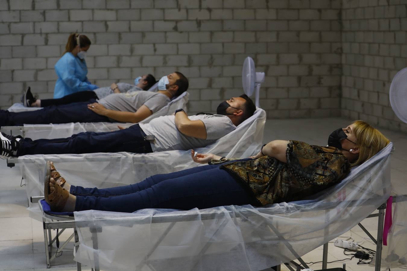 La donación de sangre en el Centro Comercial El Arcángel, en imágenes