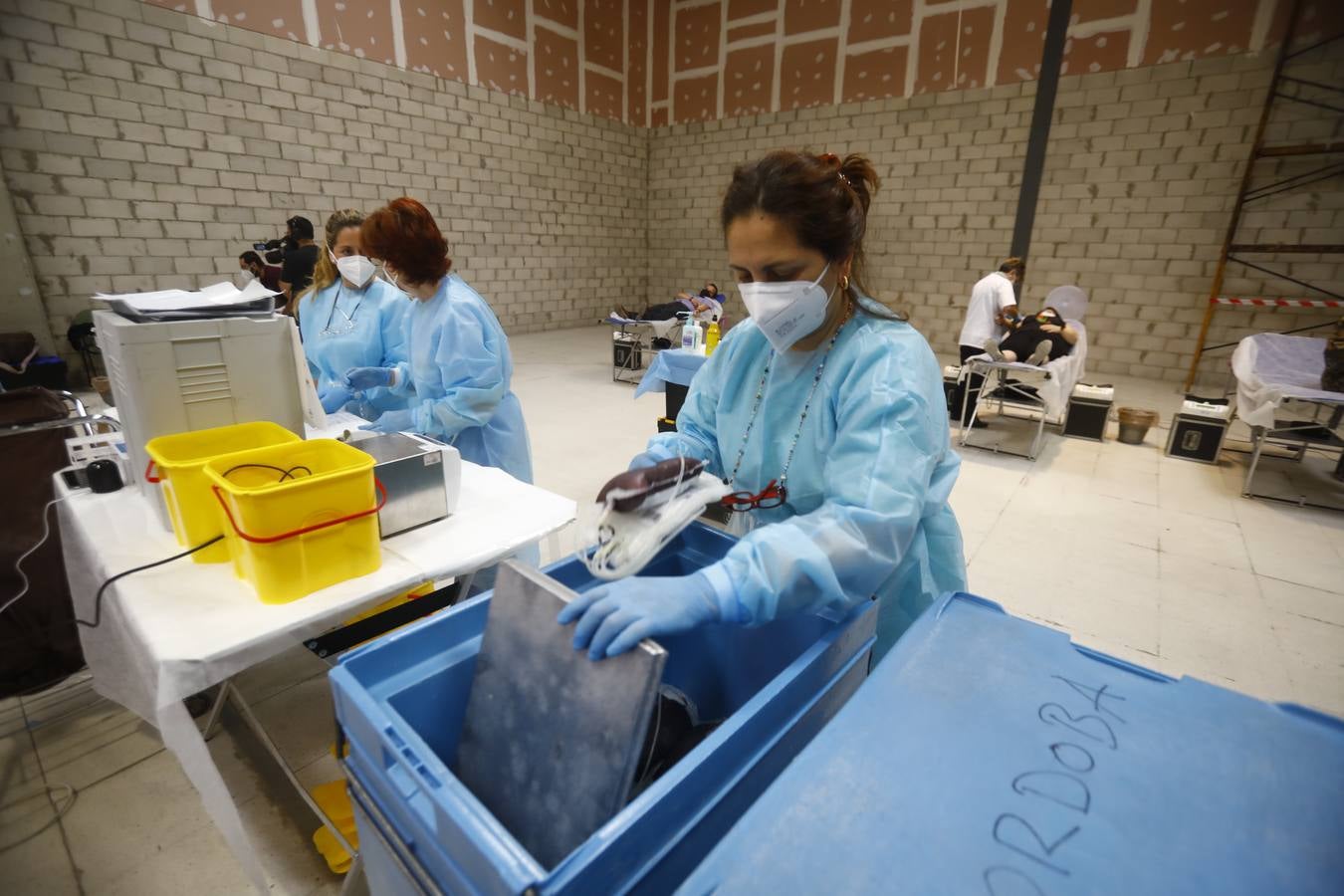 La donación de sangre en el Centro Comercial El Arcángel, en imágenes