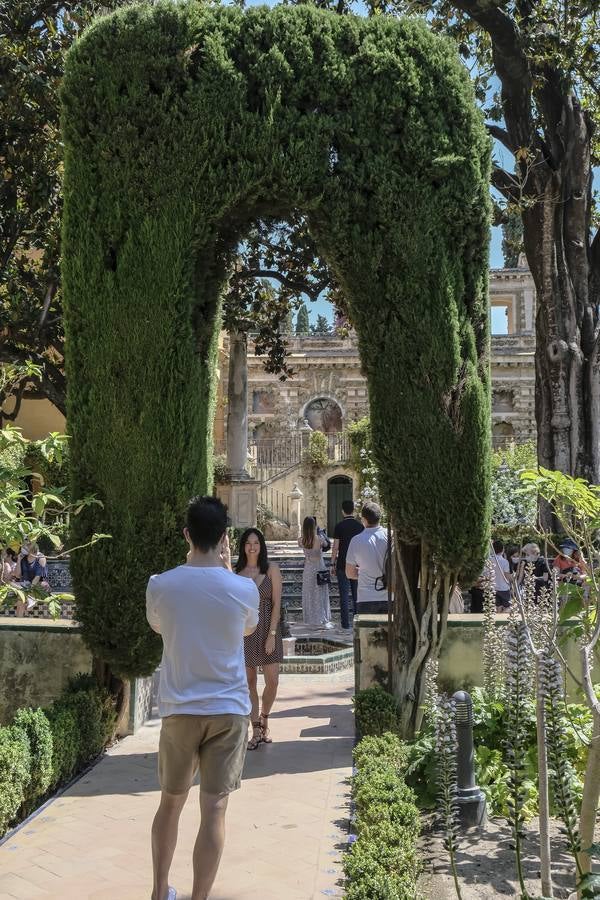 Los turistas vuelven a llenar el Real Alcázar de Sevilla