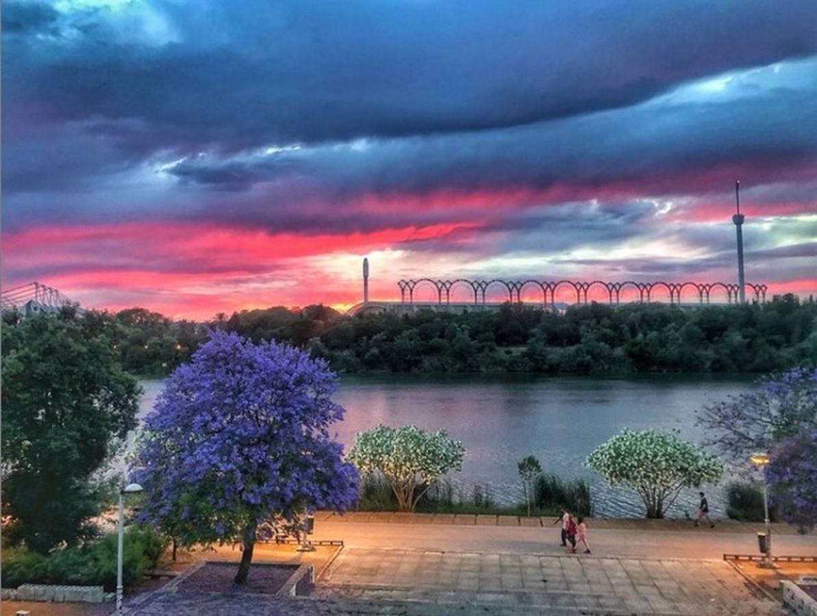 La magia de la Sevilla nocturna, protagonista de las imágenes recibidas en el reto fotográfico de ABC