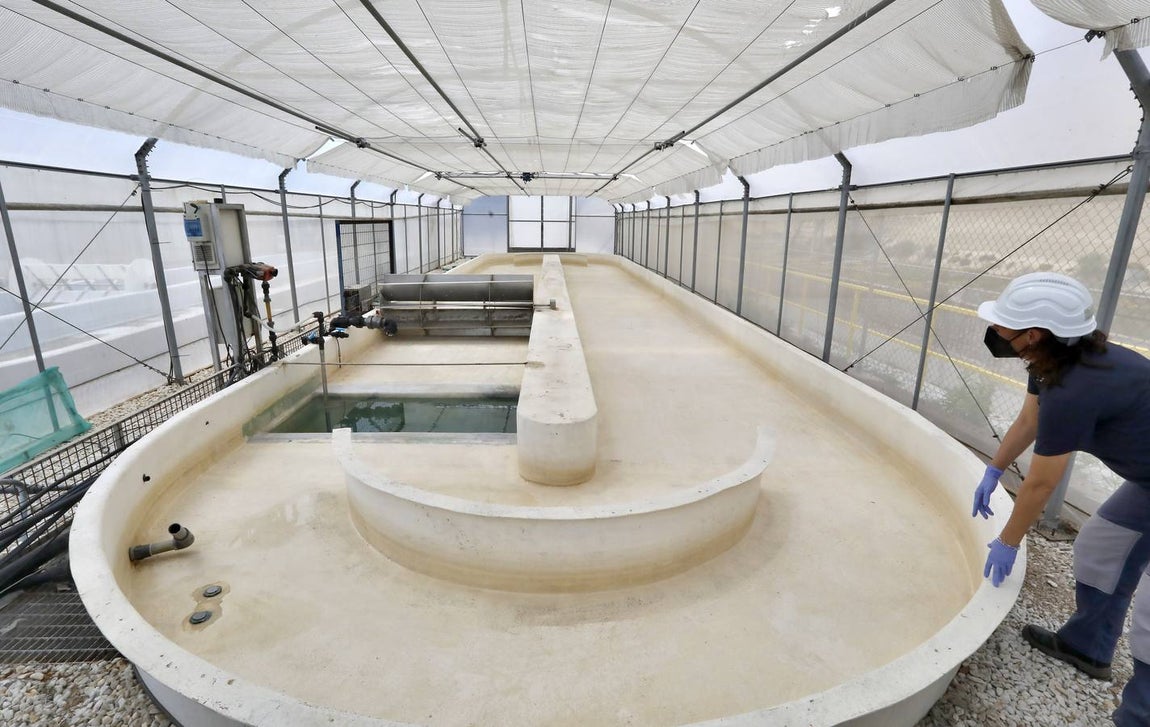 Central térmica de Carboneras