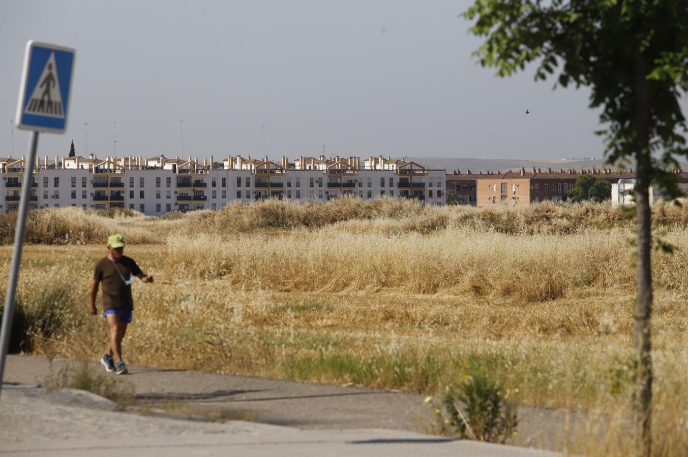 La Huerta de Santa Isabel Oeste de Córdoba, en imágenes