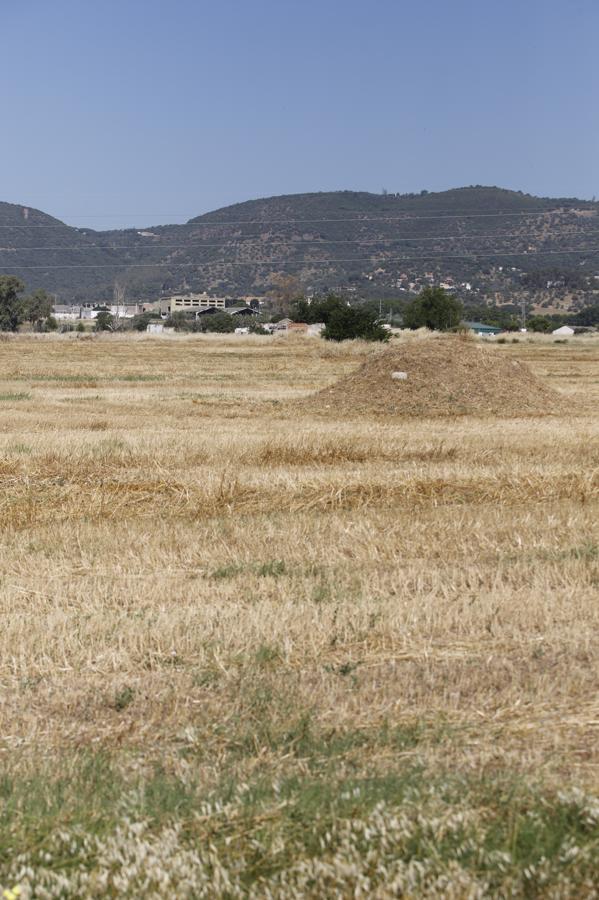 La Huerta de Santa Isabel Oeste de Córdoba, en imágenes