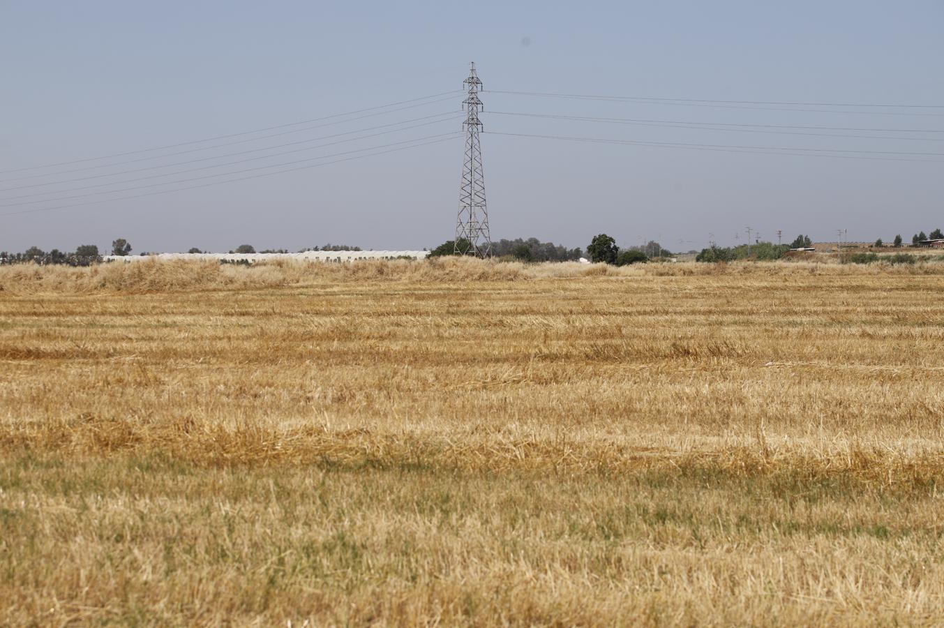 La Huerta de Santa Isabel Oeste de Córdoba, en imágenes