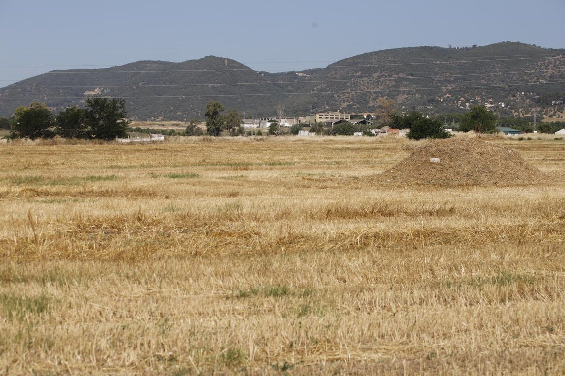La Huerta de Santa Isabel Oeste de Córdoba, en imágenes