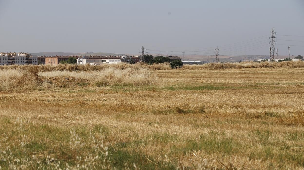 La Huerta de Santa Isabel Oeste de Córdoba, en imágenes