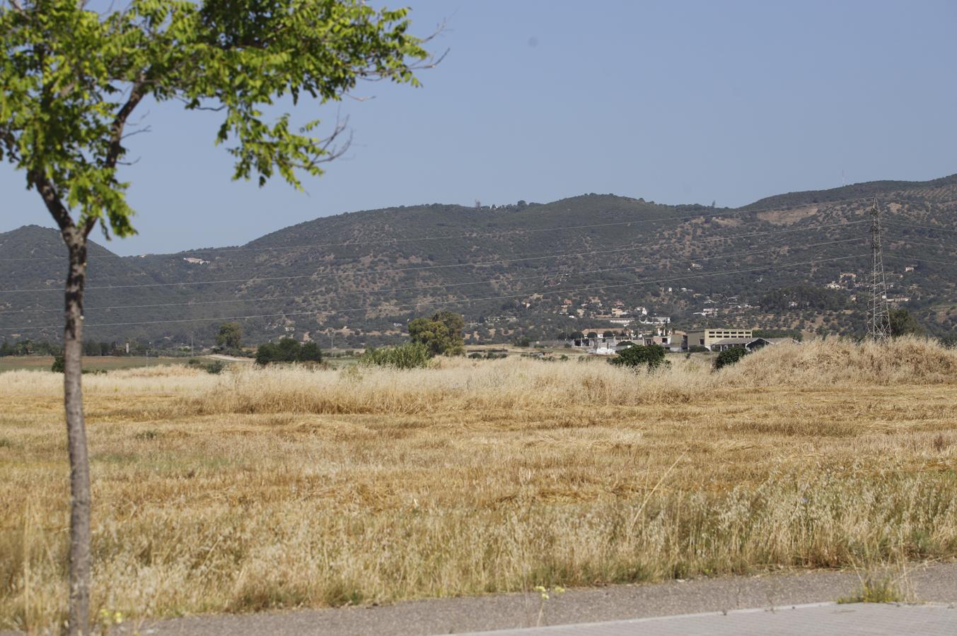 La Huerta de Santa Isabel Oeste de Córdoba, en imágenes