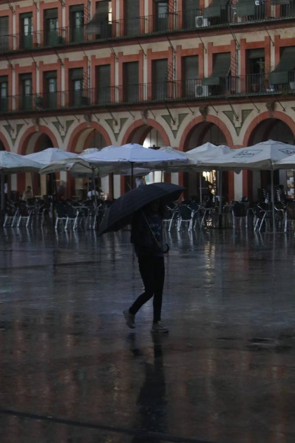 La fuerte tormenta vivida en Córdoba, en imágenes