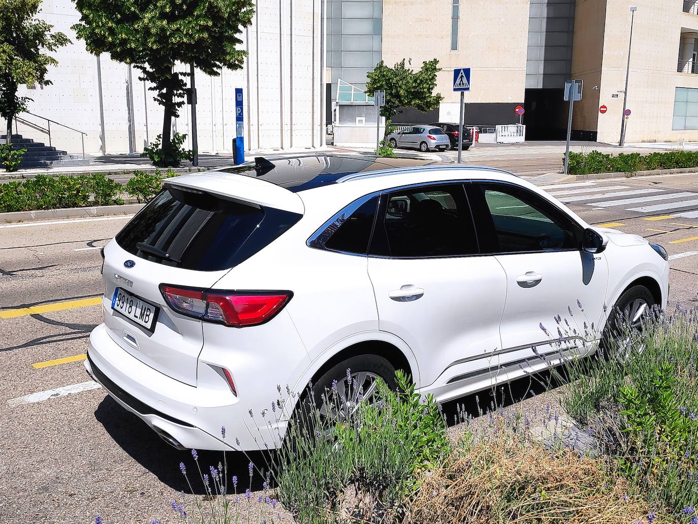 Fotogalería: Ford Kuga Hybrid