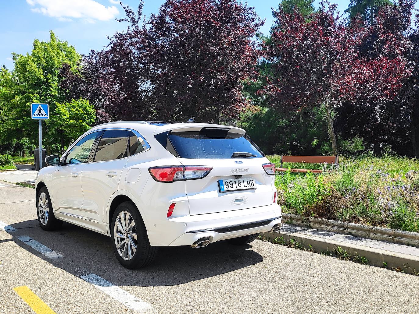 Fotogalería: Ford Kuga Hybrid