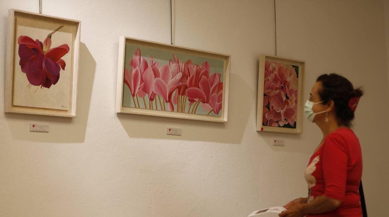 La exposición &quot;El color en los Patios de Córdoba&quot; de Viana, en imágenes