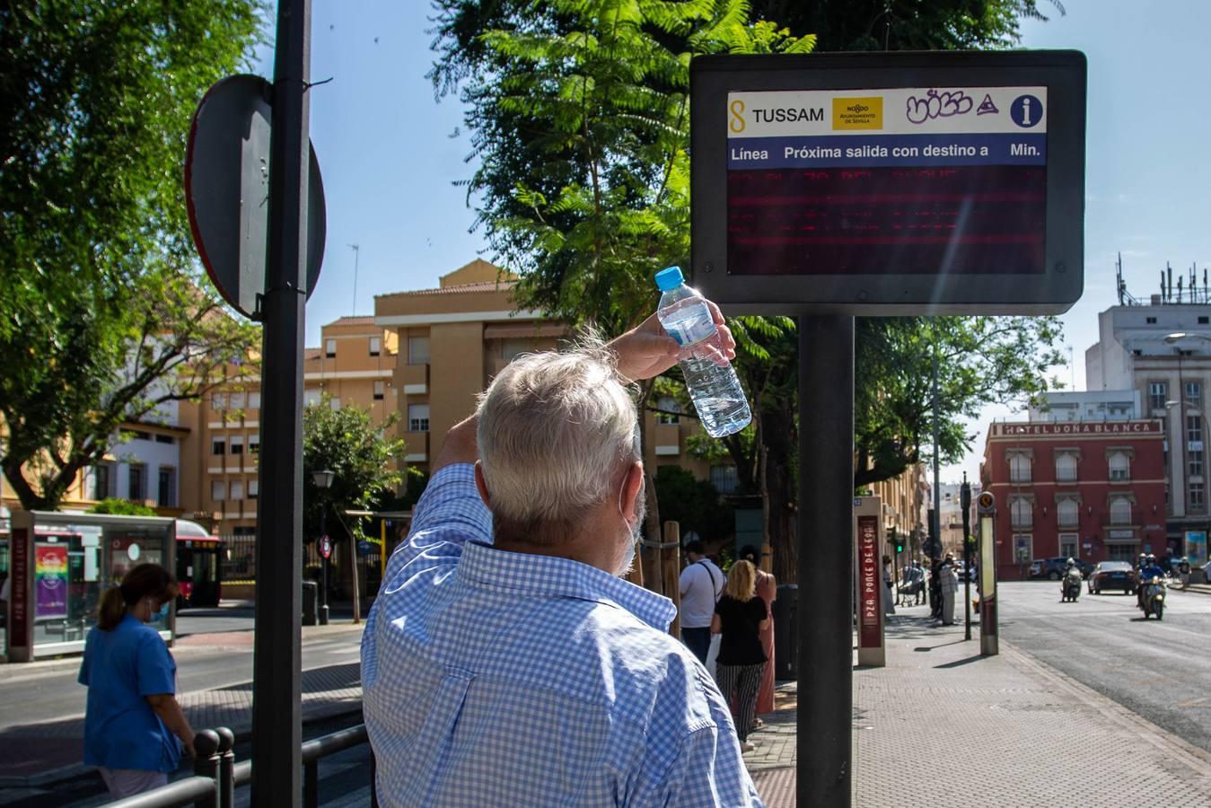 La huelga de Tussam en Sevilla apenas afecta a los usuarios: algunas colas y esperas un poco más largas