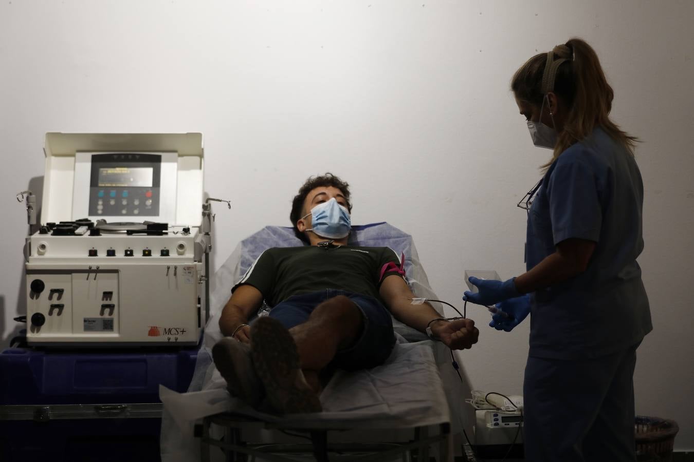 La donación de sangre en la Fundación Cajasol de Córdoba, en imágenes